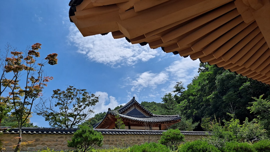 featured image for: shogun