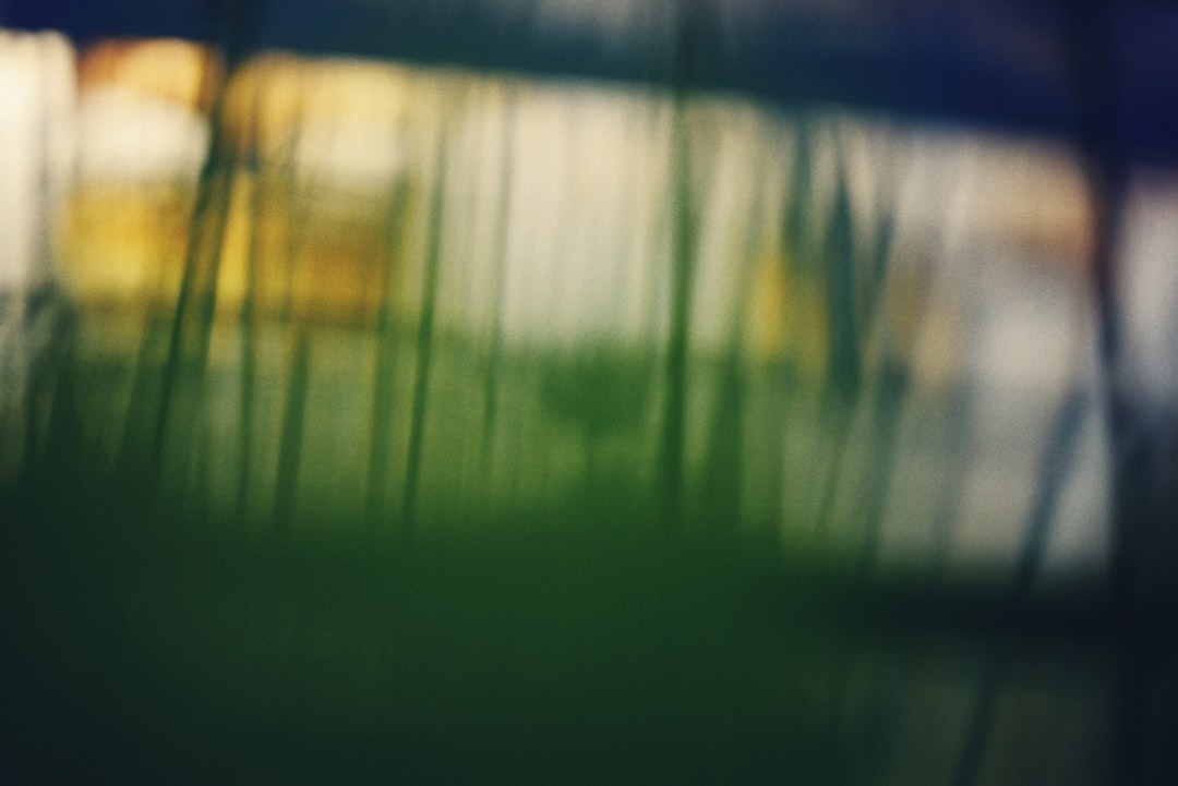 featured image for: yotpo