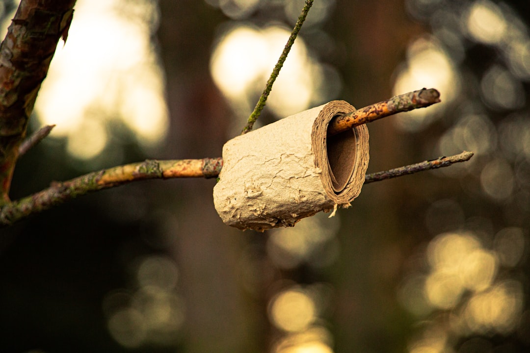 Unlock the Power of Privy: Boost Conversions and Grow Your Online Business featured image for: privy